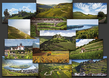 Weinerlebnis in einer der 13 deutschen Weinregionen