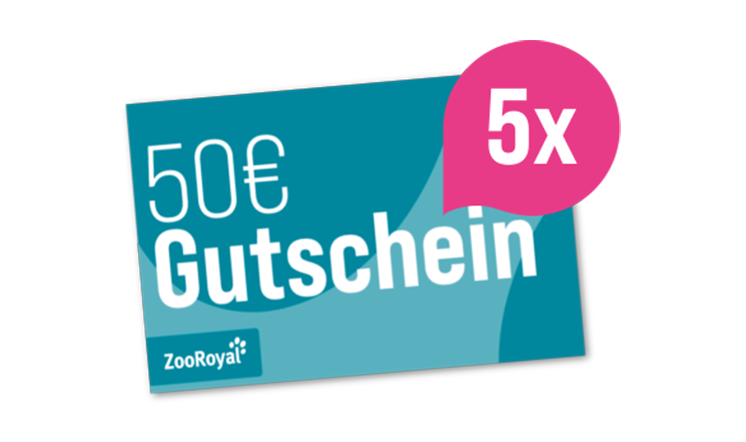 REWE Kassenbon Gewinnspiel ZooRoyal Gutschein 50€