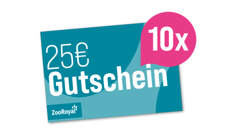 REWE Kassenbon Gewinnspiel Zooroyal (Gutschein 25€)