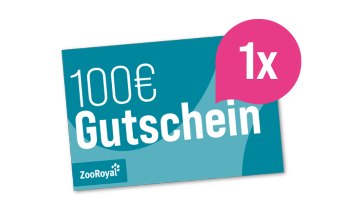 REWE Kassenbon Gewinnspiel Zooroyal Gutschein 100€