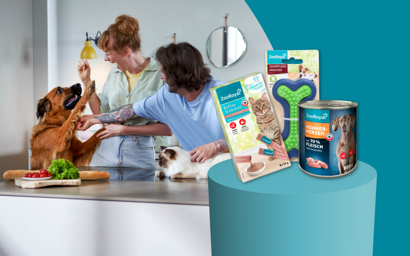 NEU_REWE-Bon-Upload-Too-800x500-px