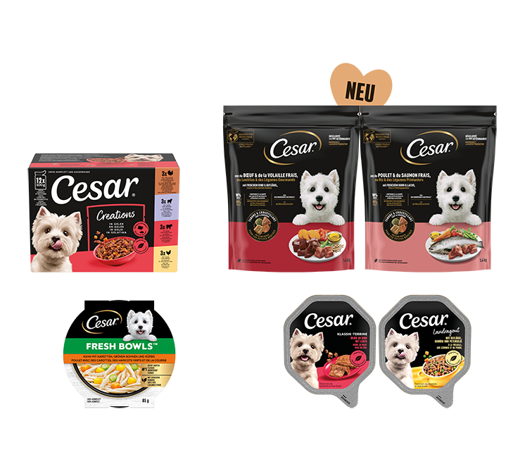 CESAR 1,4KG BT·RIND&GEFLUEGEL TROCKEN